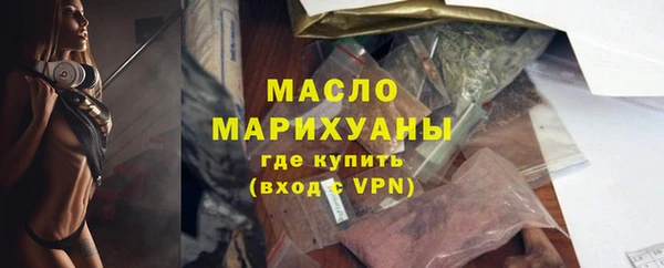 крисы Каменка