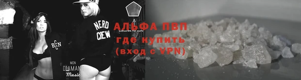 крисы Каменка