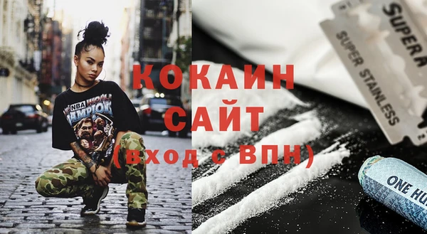 крисы Каменка