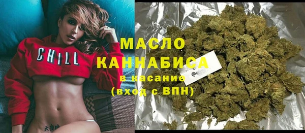 крисы Каменка