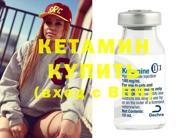 крисы Каменка