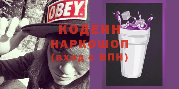 крисы Каменка