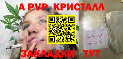 кокс Можга