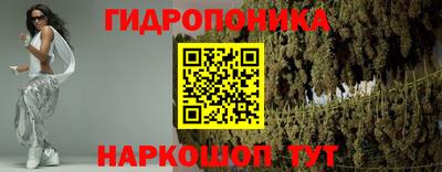 кокс Можга